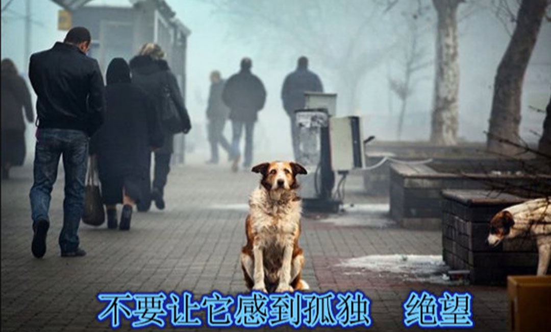 南通南通爱影圈微博微信转发案例